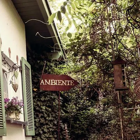 Appartement Ambiente Wohnen Im Garten